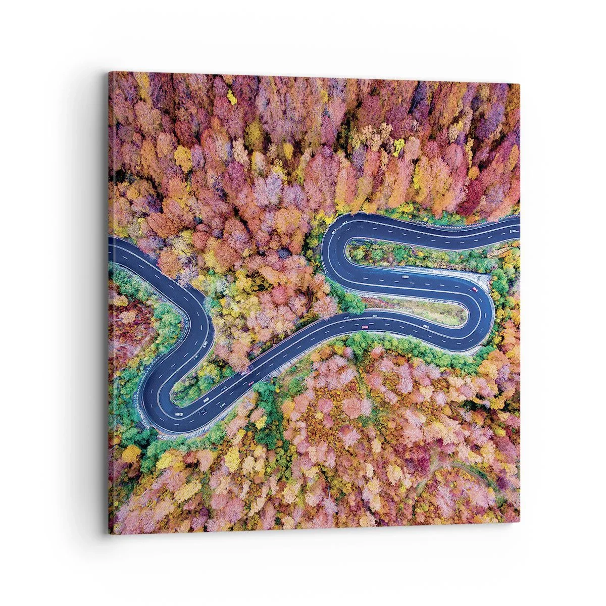 Quadro em tela - Estrada sinuosa pela floresta - 70x70 cm