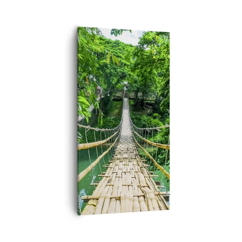 Quadro em tela - Ponte de macacos sobre a vegetação - 55x100 cm