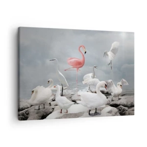 Quadro em tela - Um flamingo rosa entre cisnes brancos tendo como pano de fundo um lago - 70x50cm - Como vim parar aqui? - Decoração de parede moderna para a sala de estar e quarto ARTTOR