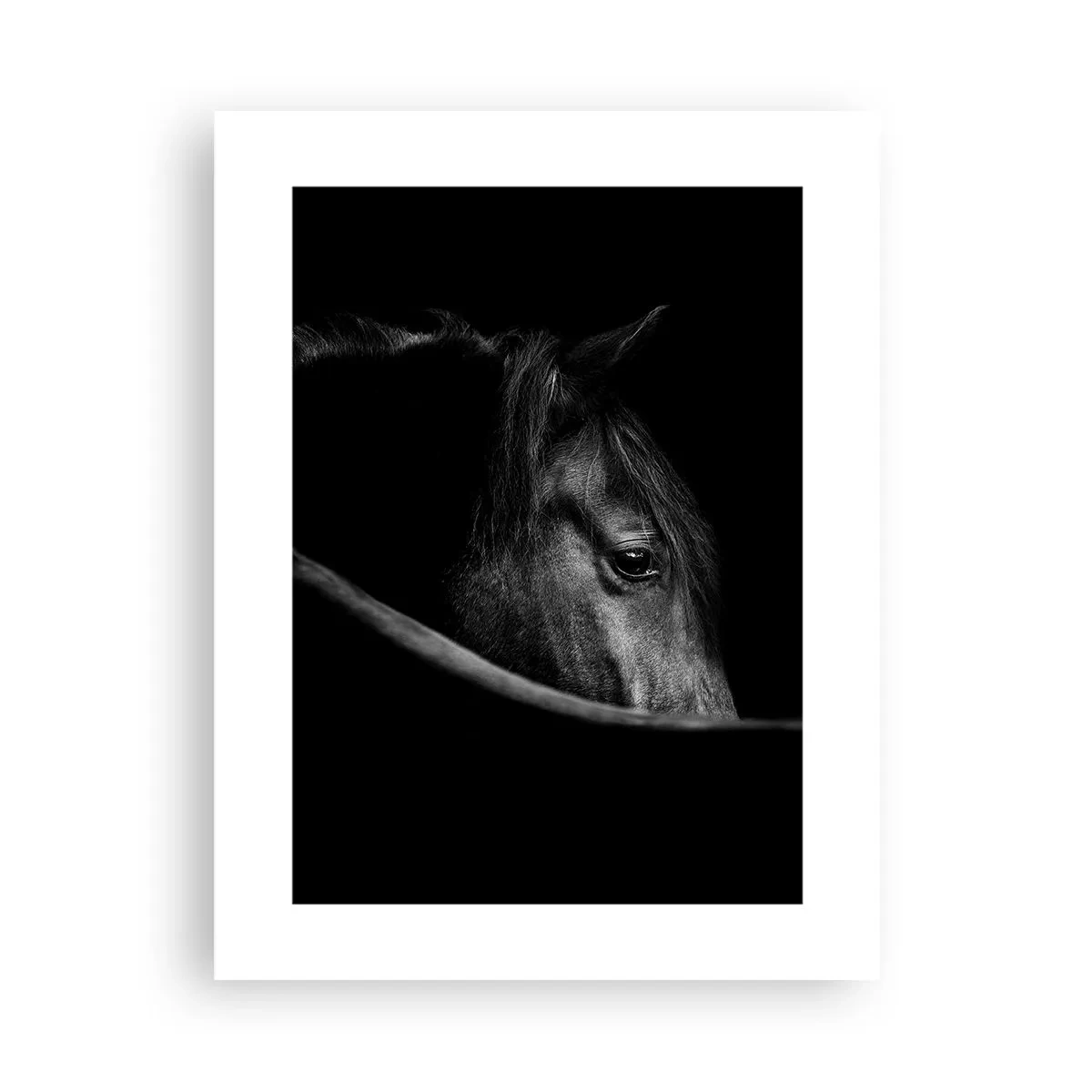 Pôster - Príncipe Negro - 30x40 cm