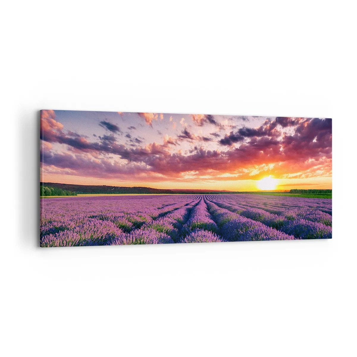 Quadro em tela - O mundo da lavanda - 120x50 cm