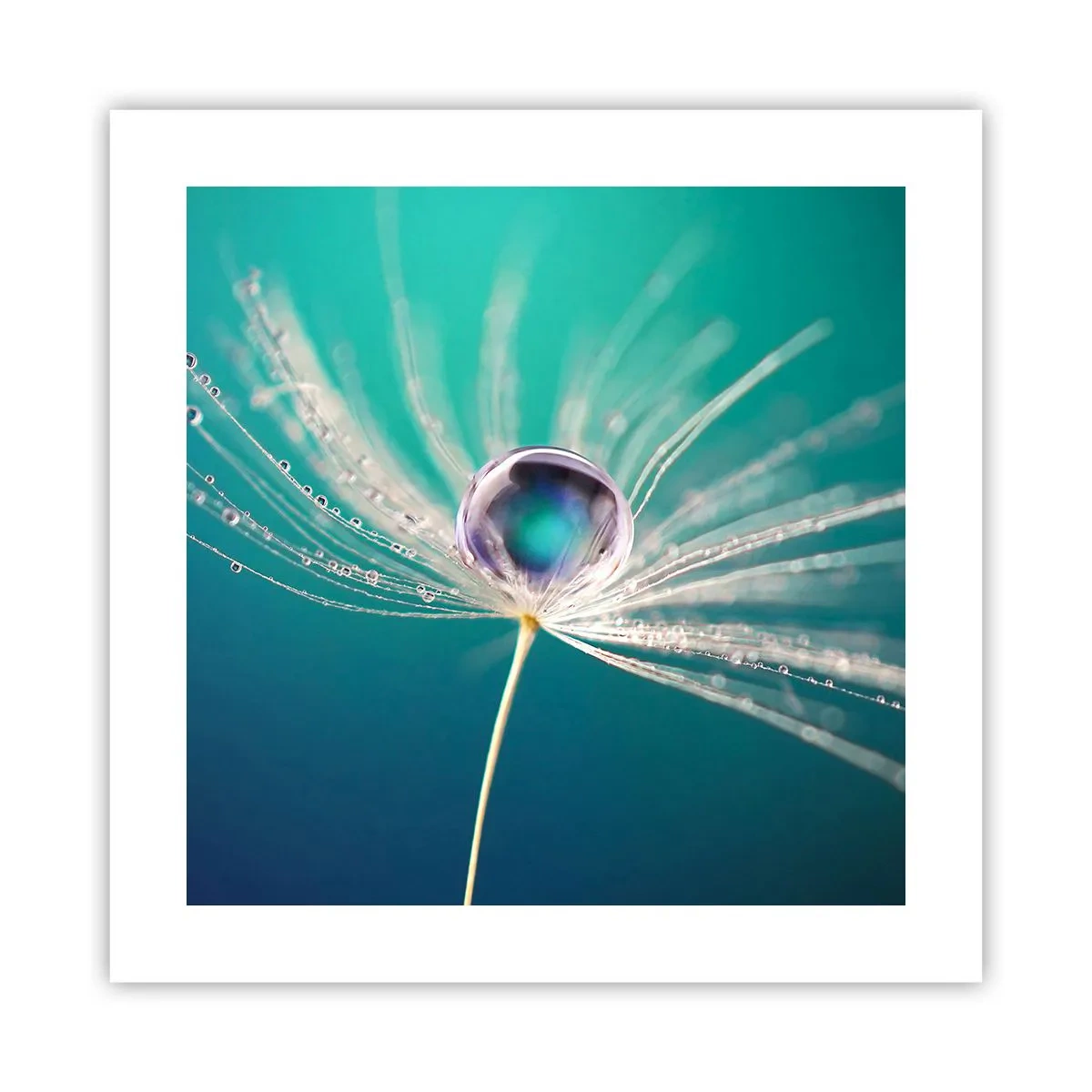 Pôster - Momento místico - 40x40 cm