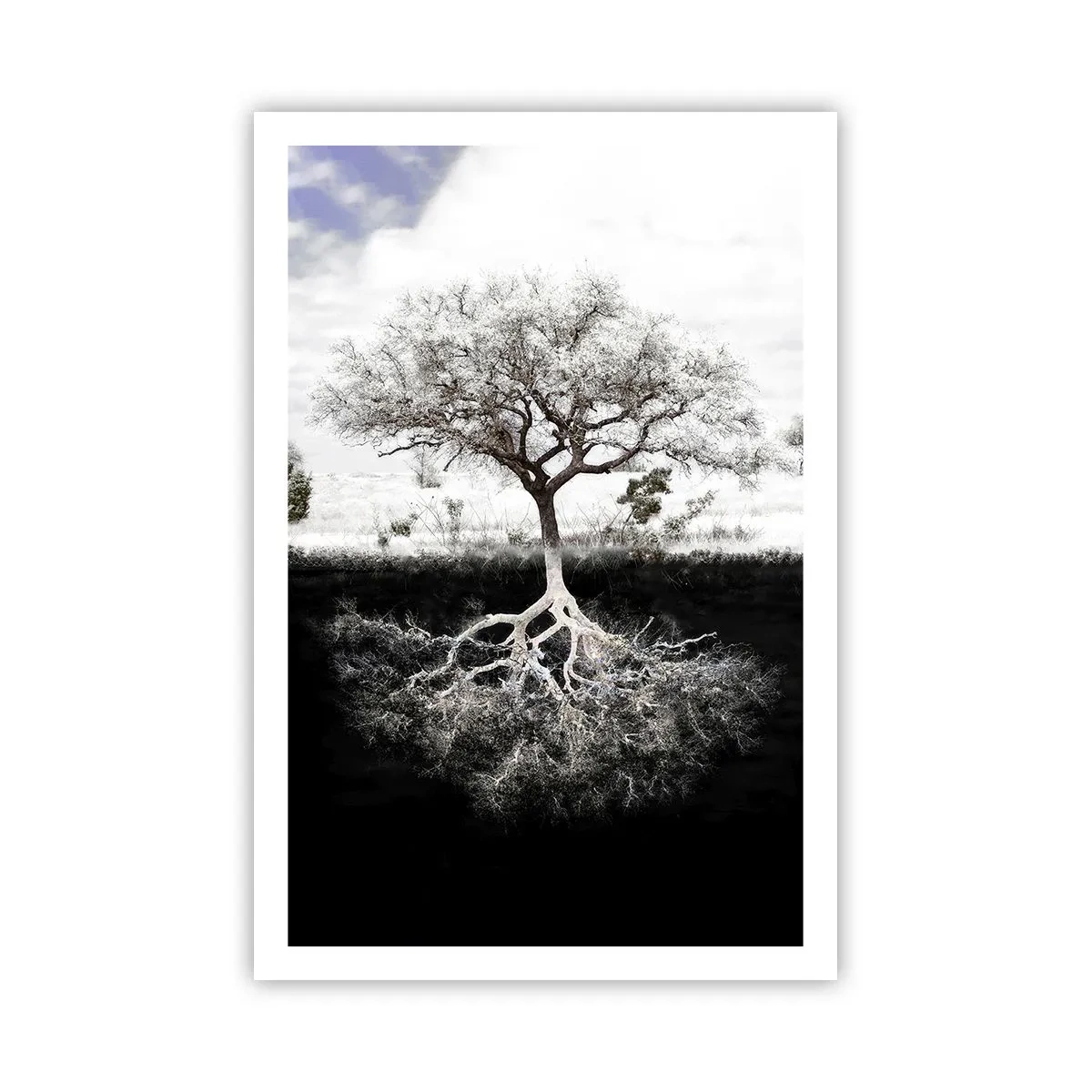 Pôster - Descobrir a natureza do mundo - 61x91 cm