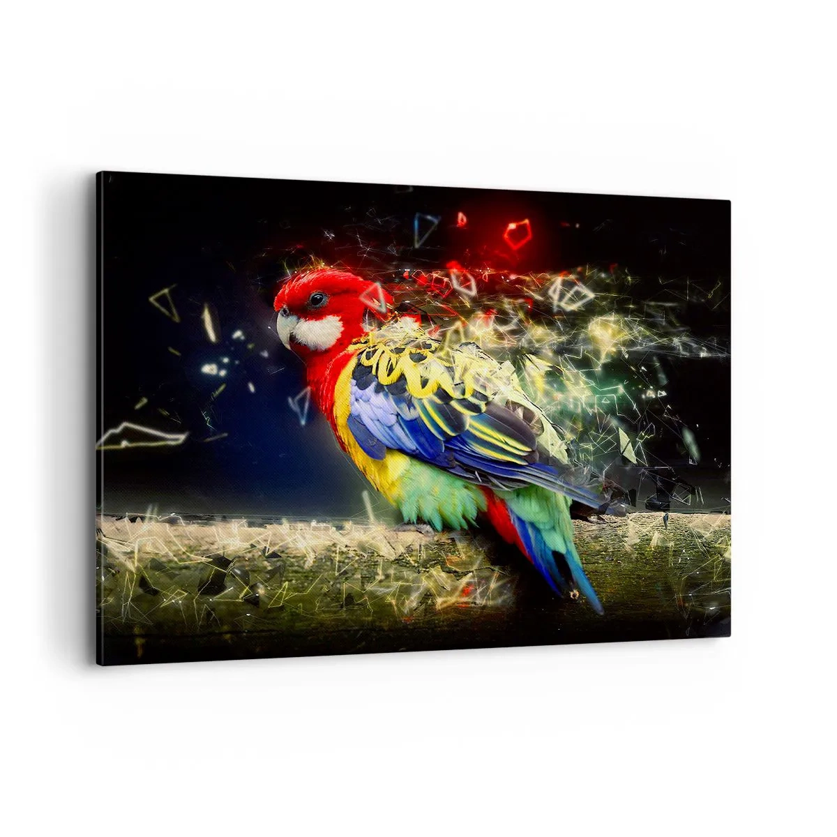 Quadro em tela - O mensageiro do Brilho - 100x70 cm