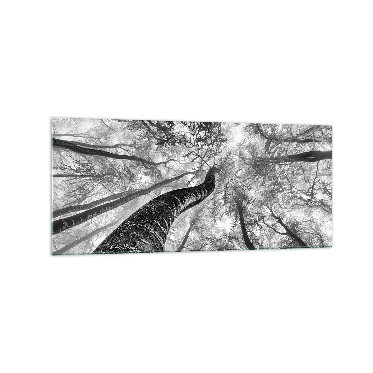 Quadro em vidro - Corrida até a luz - 120x50 cm