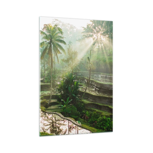 Quadro em vidro - Crescer ao sol - 70x100 cm