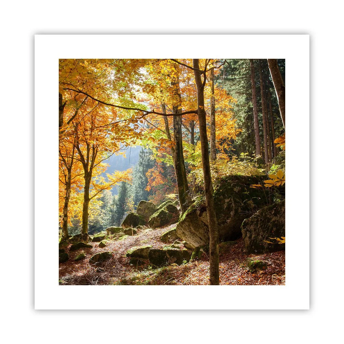 Pôster - Tempo para descansar - 40x40 cm