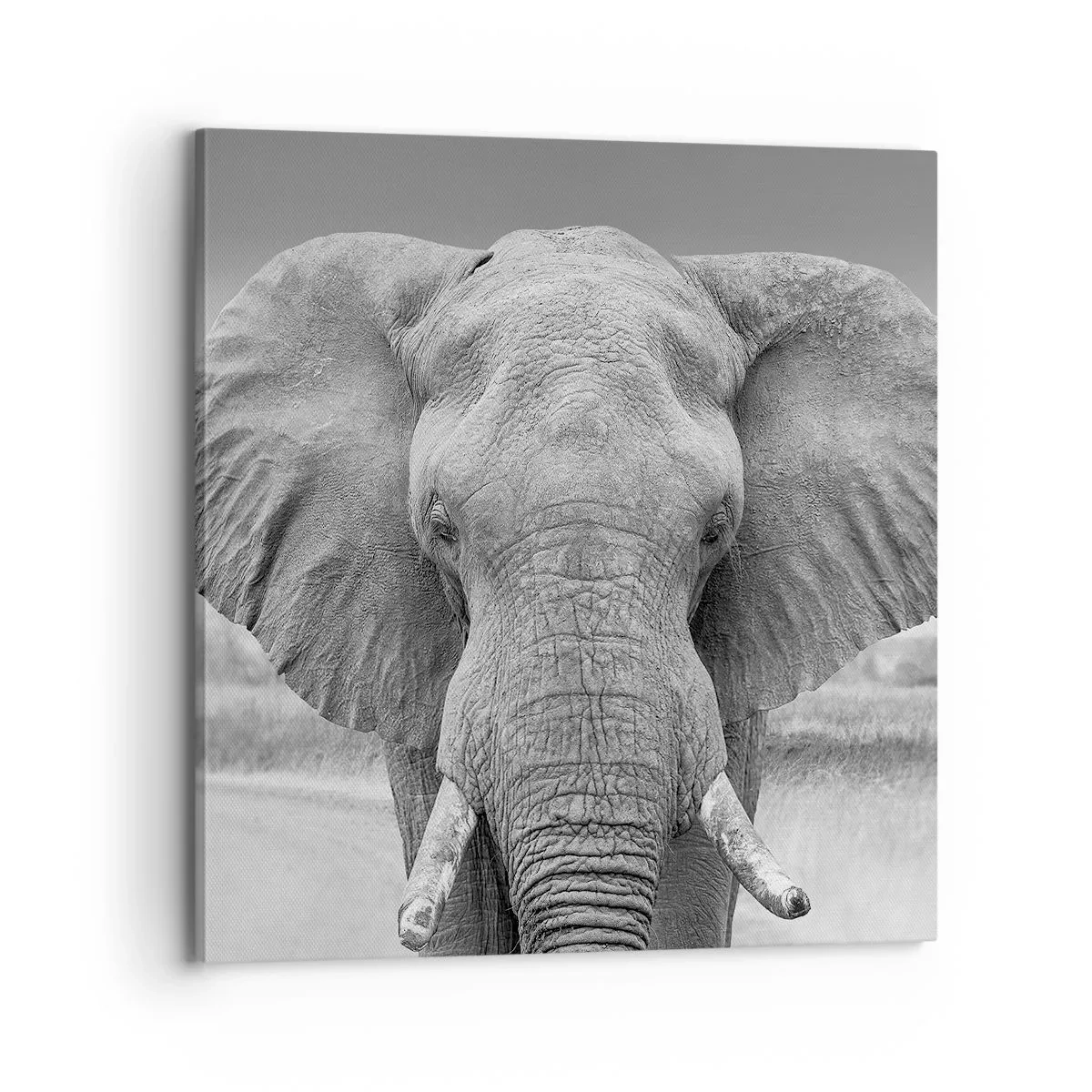 Quadro em tela - Bem-vindo ao meu mundo - 70x70 cm