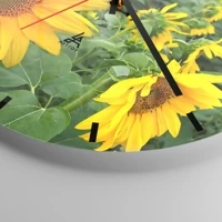 Mostrador com traços