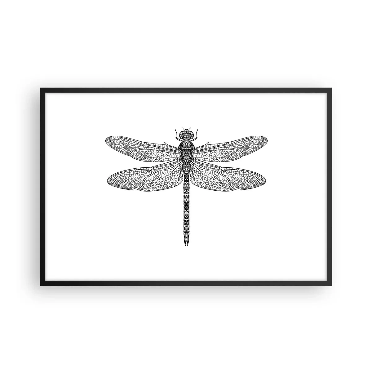 Pôster com moldura preta - Precisão da natureza - 91x61 cm