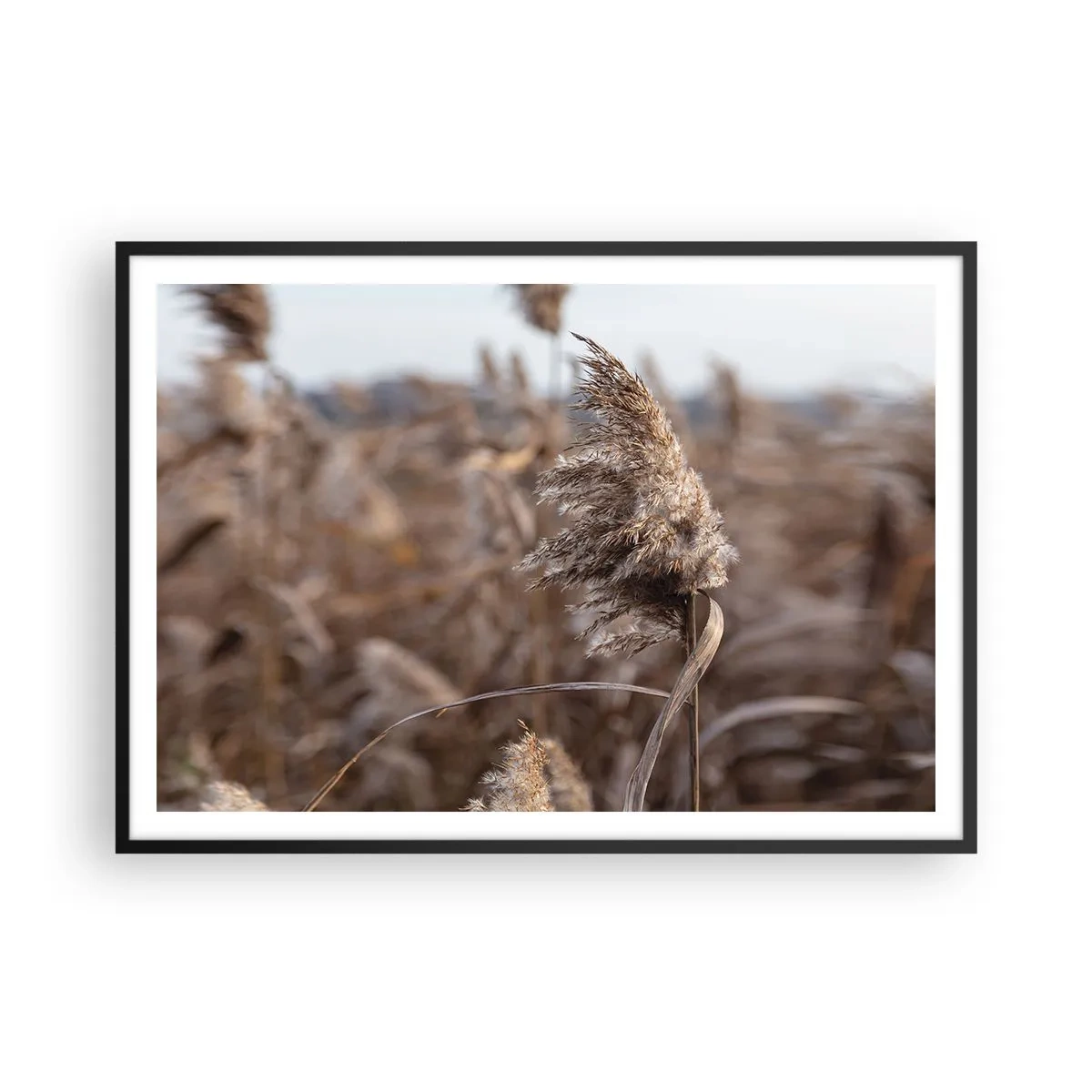 Pôster com moldura preta - É hora de voar com o vento - 100x70 cm