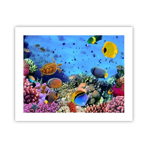 Pôster - E o que sabemos sobre a vida... - 50x40 cm