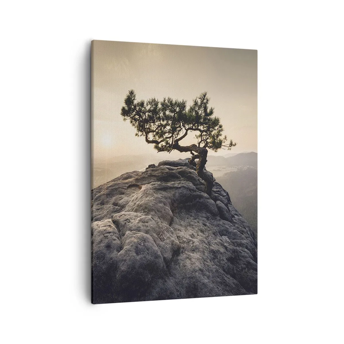 Quadro em tela - A vida ganha sempre - 50x70 cm