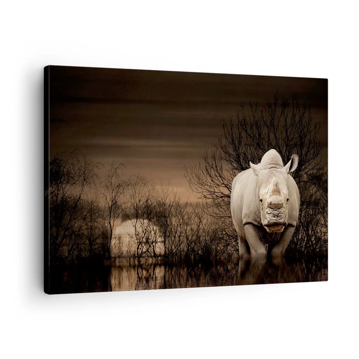 Quadro em tela - Rinoceronte entre árvores ao pôr do sol, natureza selvagem. - 70x50cm - Branco contra a natureza - Decoração de parede moderna para a sala de estar e quarto ARTTOR