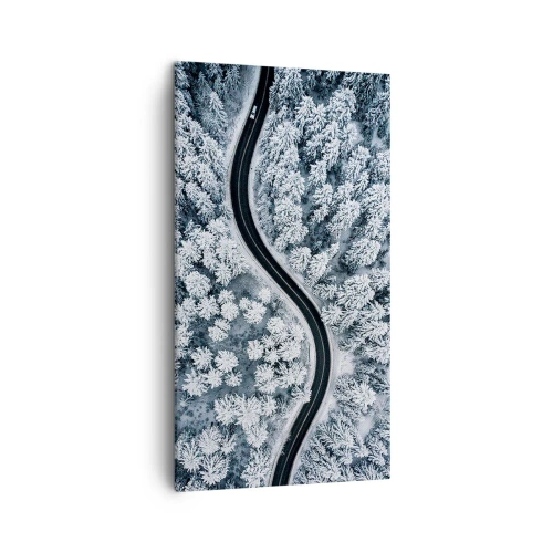 Quadro em tela - Pelaa floresta no inverno - 45x80 cm