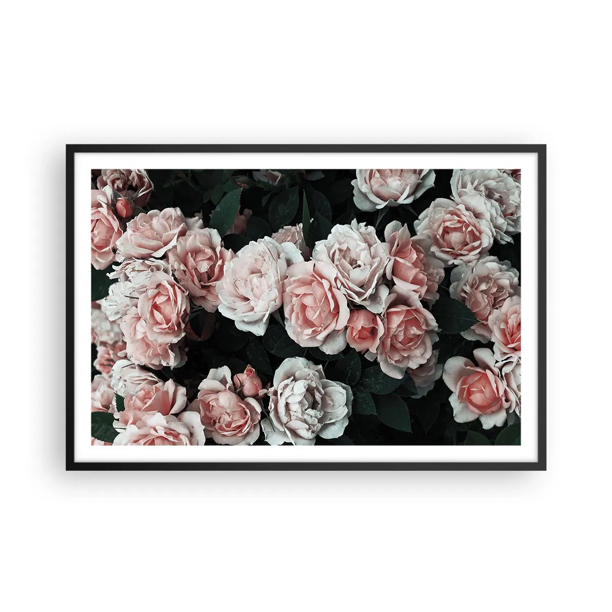 Pôster com moldura preta - Conjuntos de rosas - 91x61 cm