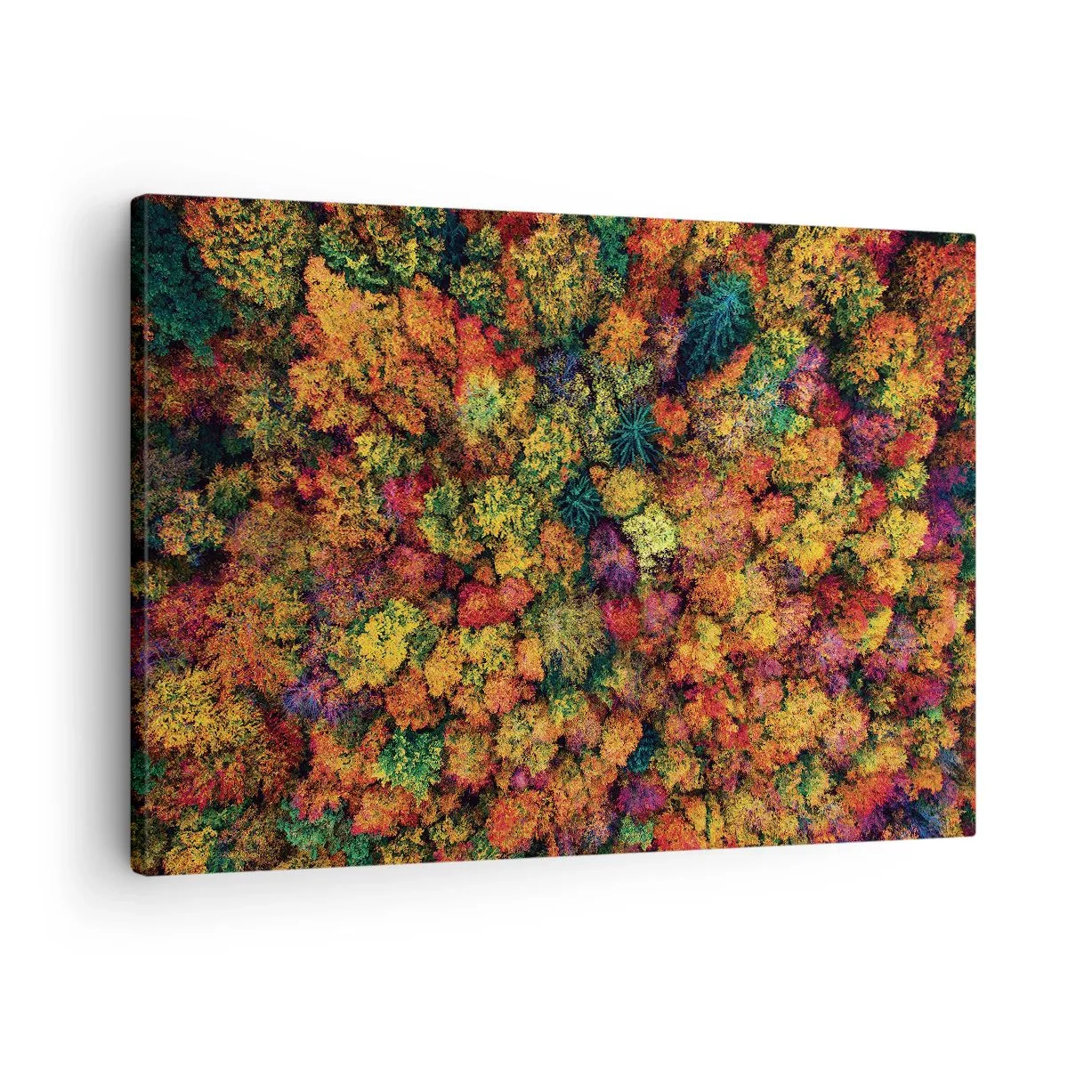 Quadro em tela - Coroas de árvores coloridas na paleta de outono - 70x50cm - Bouquet de árvores de Outono - Decoração de parede moderna para a sala de estar e quarto ARTTOR