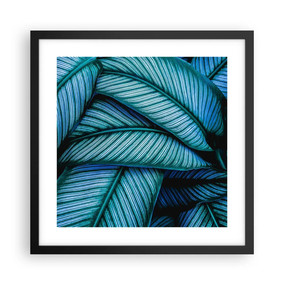 Pôster com moldura preta - Linhas de vida - 40x40 cm