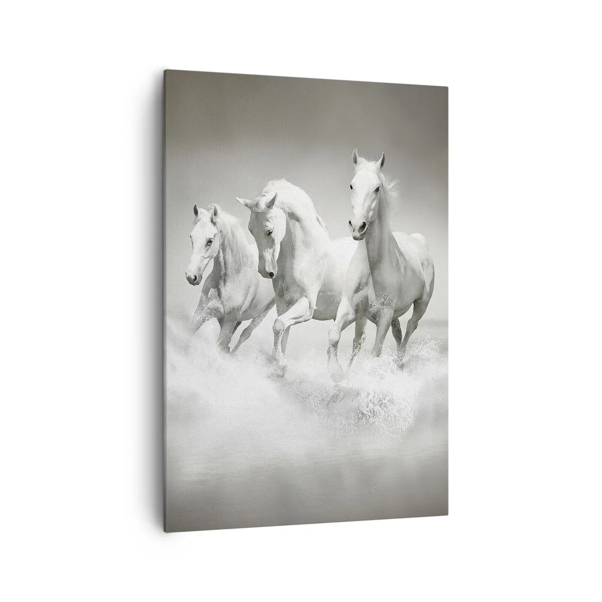 Quadro em tela - Loucura branca - 70x100 cm