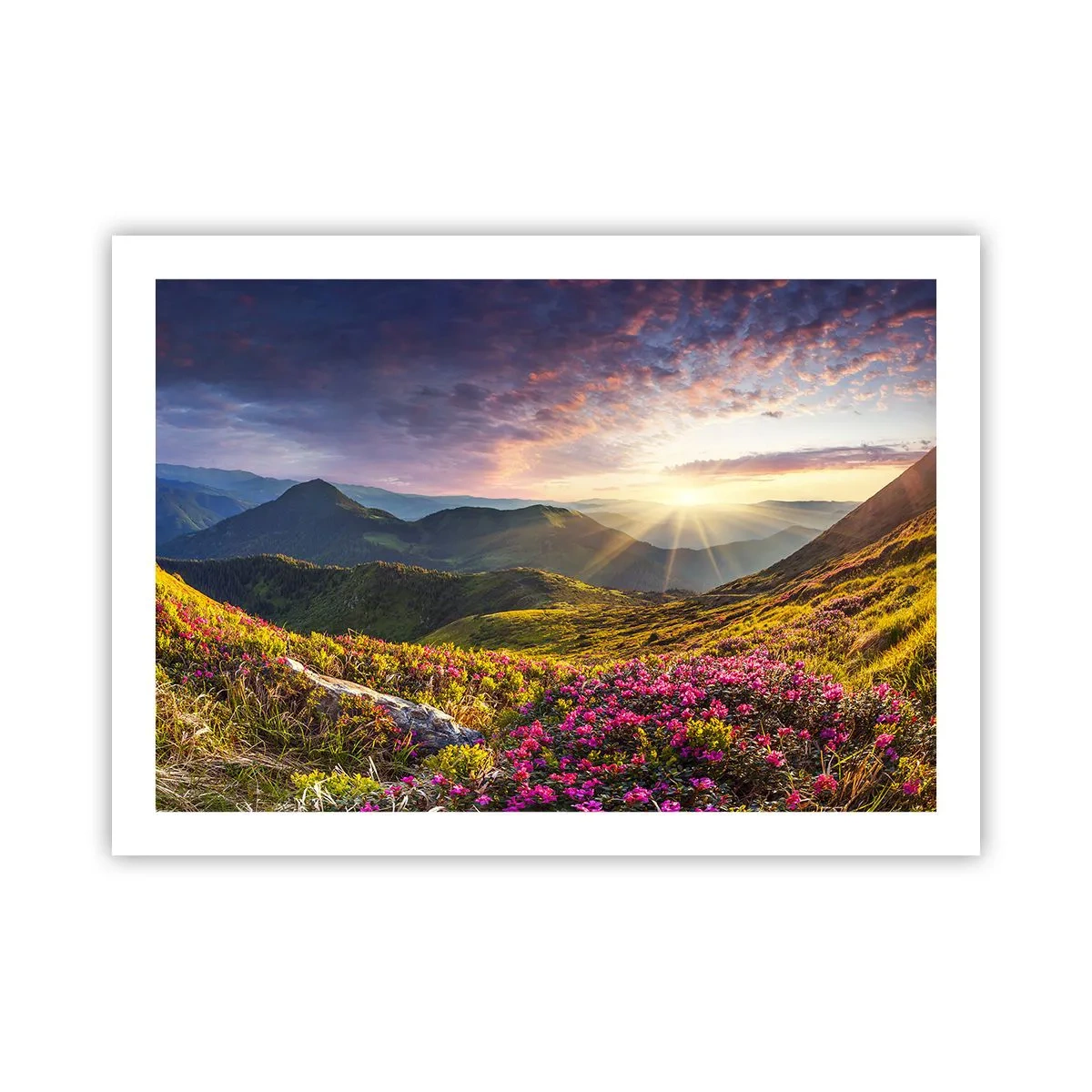 Pôster - A frescura de uma manhã nas montanhas - 70x50 cm