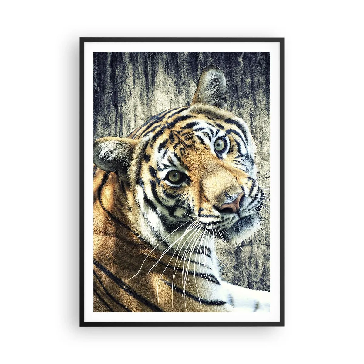 Pôster com moldura preta - Retrato em feixes de luz - 70x100 cm