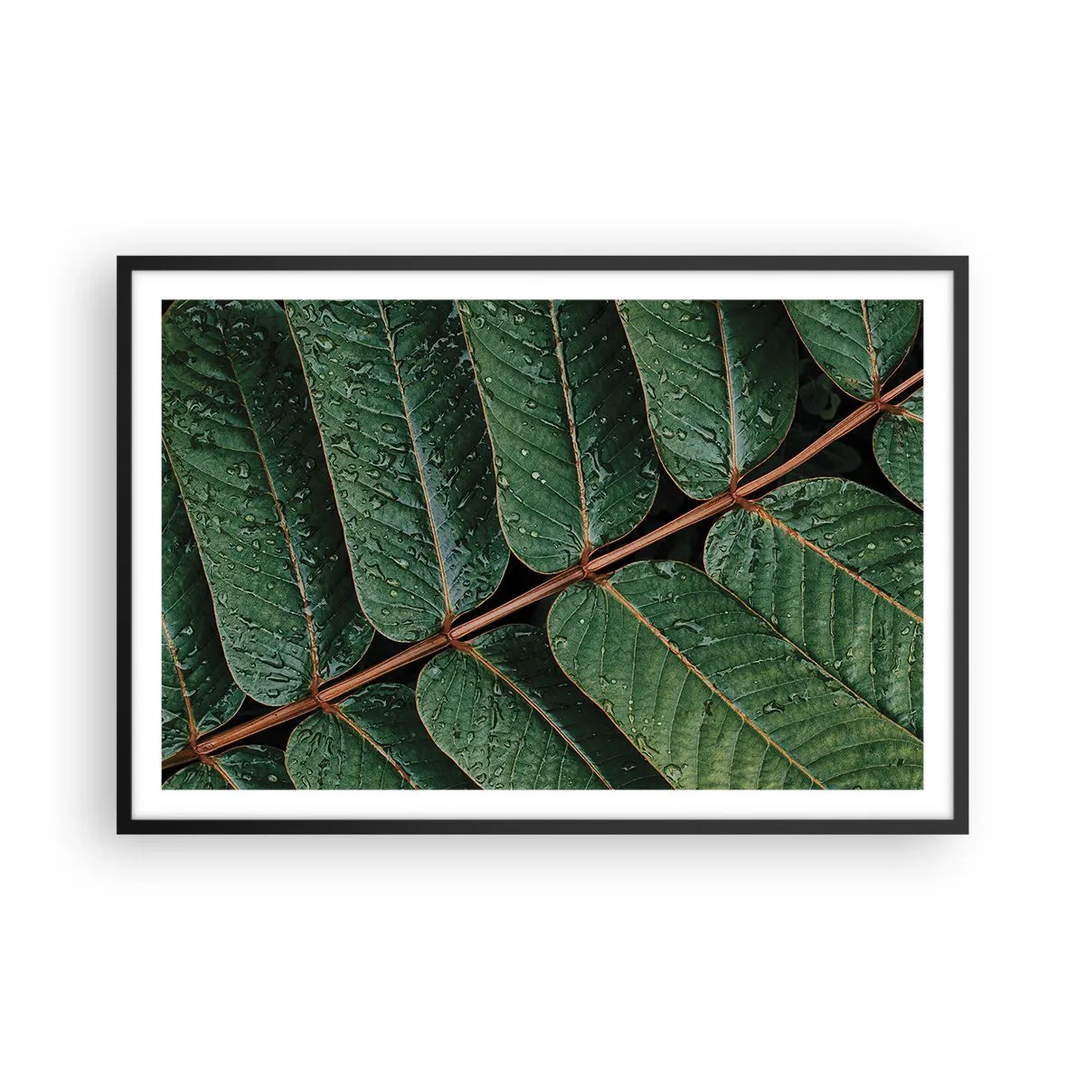 Pôster com moldura preta - Num ritmo verde - 91x61 cm