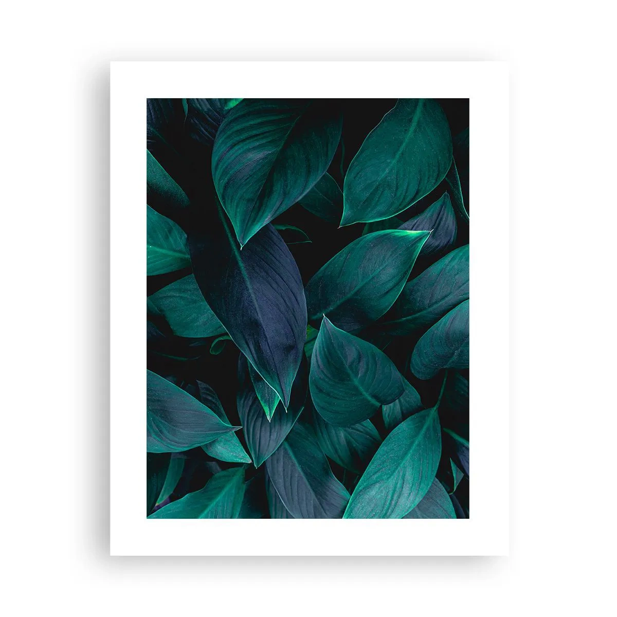 Pôster - Verde em si - 40x50 cm