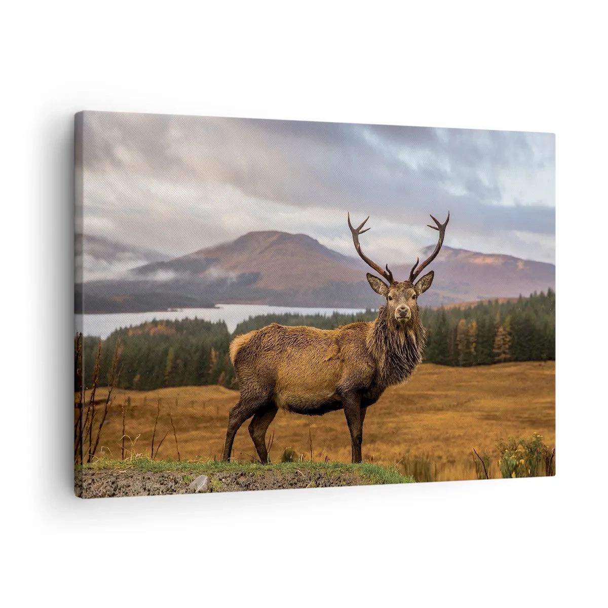 Quadro em tela - Um veado tendo como pano de fundo uma paisagem montanhosa com lagos e florestas - 70x50cm - A majestade da natureza - Decoração de parede moderna para a sala de estar e quarto ARTTOR