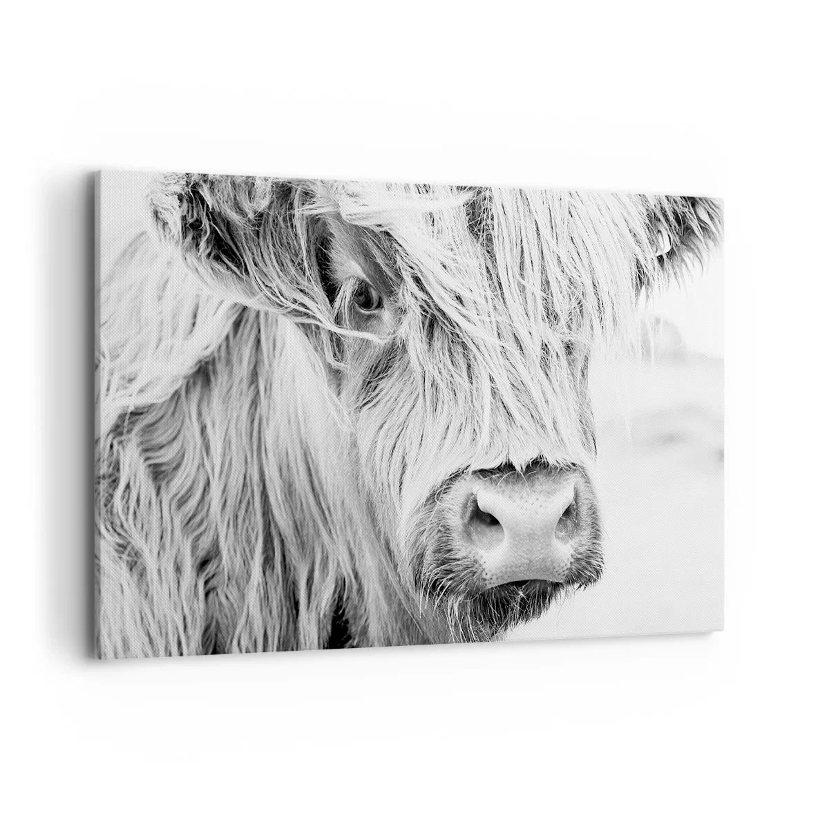Quadro em tela - Natureza selvagem escocesa - 120x80 cm