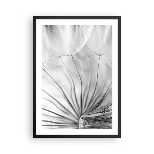 Pôster com moldura preta - Foto macro em preto e branco de um dente-de-leão com detalhes sutis - 50x70cm - Dentes de leão, pipas - Decoração de parede moderna para a sala de estar e quarto ARTTOR