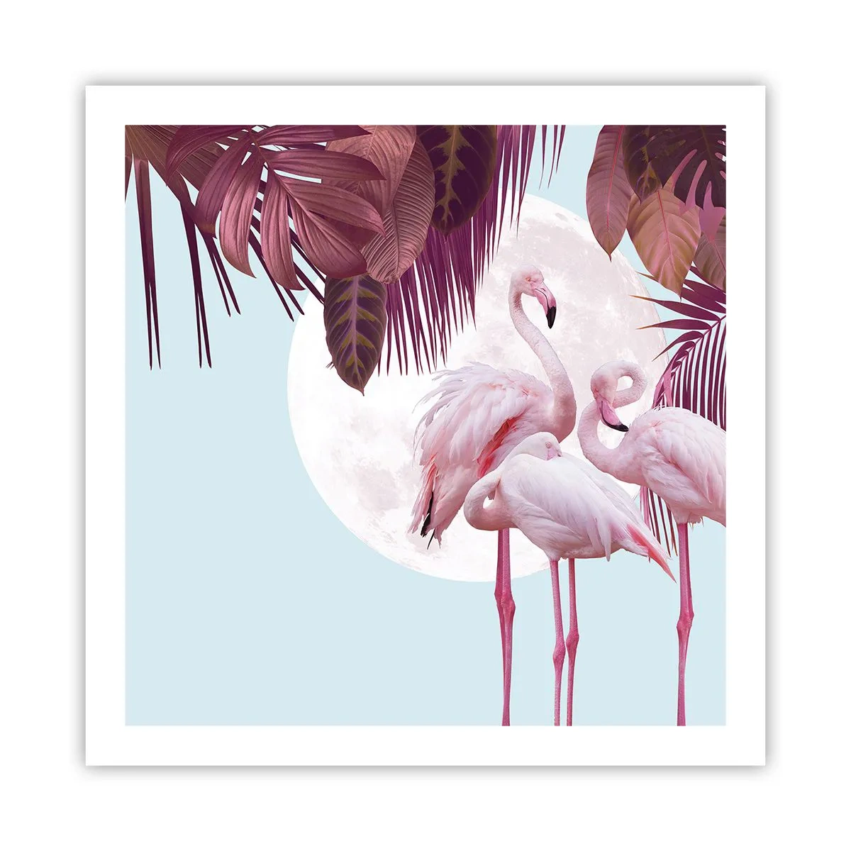 Pôster - Três graças de pássaros - 60x60 cm