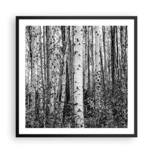 Pôster com moldura preta - Colunata de bétula - 60x60 cm