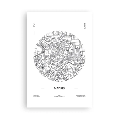 Pôster - Anatomia de Madri - 61x91 cm