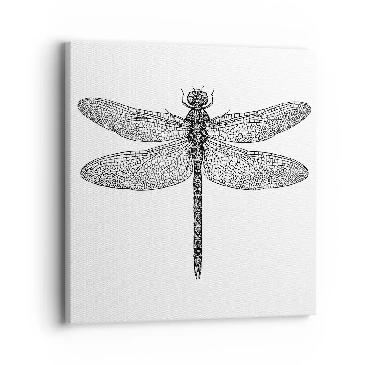 Quadro em tela - Precisão da natureza - 40x40 cm