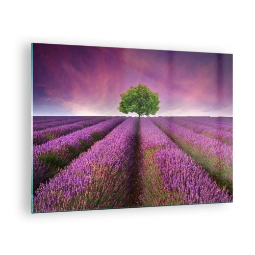 Quadro em vidro - Um campo de lavanda com uma árvore solitária contra o céu - 70x50cm - Nos campos de lavanda - Decoração de parede moderna para a sala de estar e quarto ARTTOR