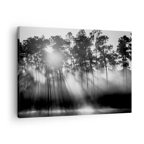 Quadro em tela - Floresta preta e branca na neblina da manhã - 70x50cm - O sol imparável - Decoração de parede moderna para a sala de estar e quarto ARTTOR