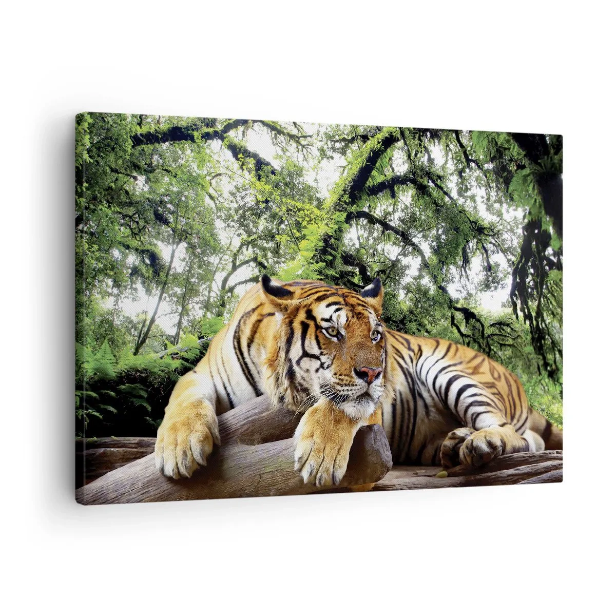 Quadro em tela - Um tigre descansando em uma floresta tropical - 70x50cm - Com os melhores cumprimentos - Decoração de parede moderna para a sala de estar e quarto ARTTOR