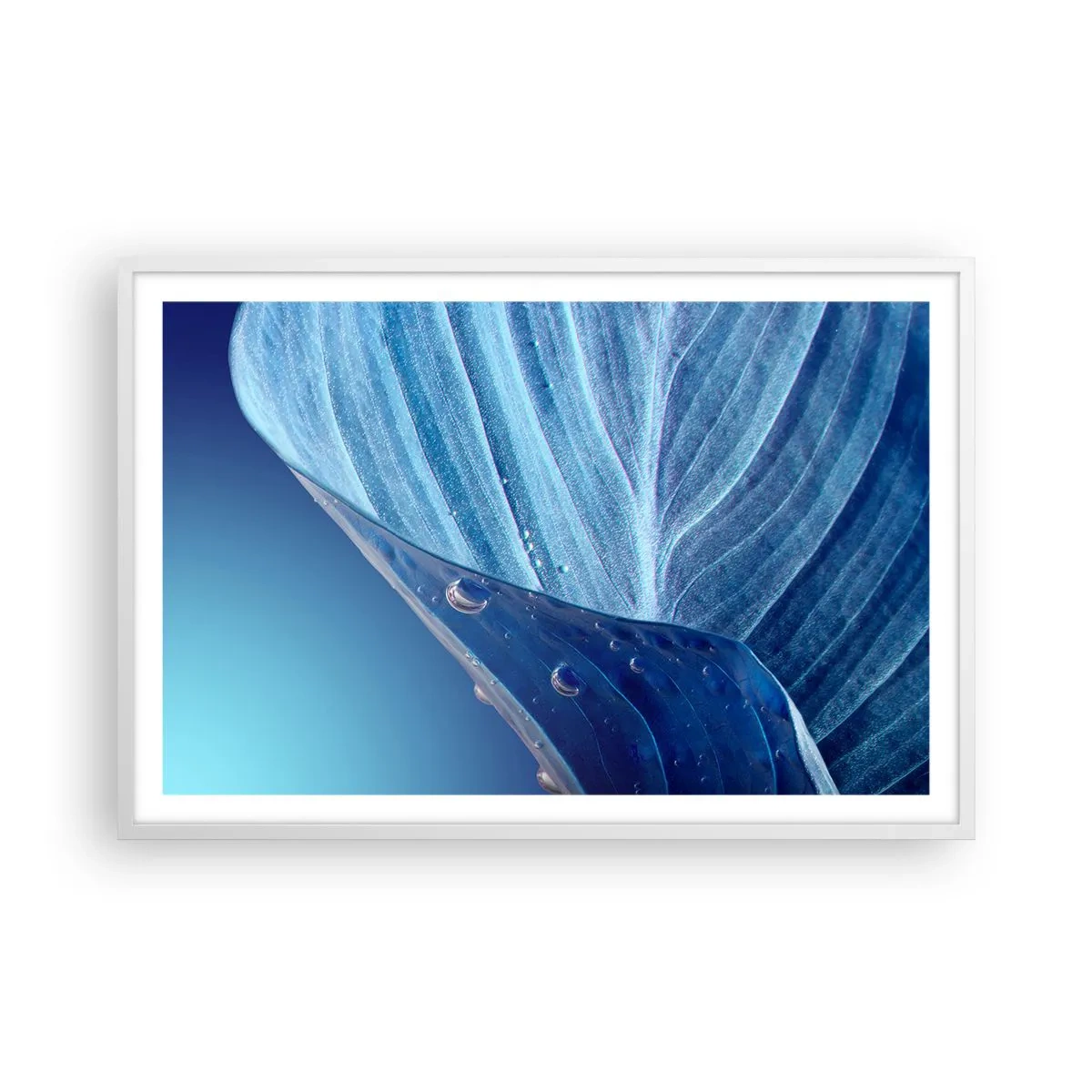 Pôster em moldura branca - Gotas escondidas no azul - 91x61 cm