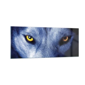 Quadro em vidro - Olhar hipnotizante - 100x40 cm