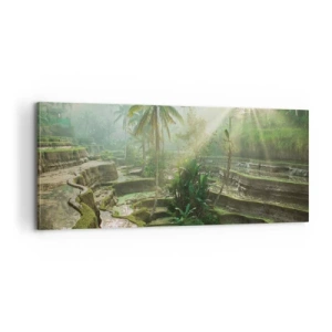 Quadro em tela - Crescer ao sol - 100x40 cm