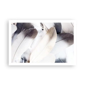 Pôster - Semi-angelical - 91x61 cm