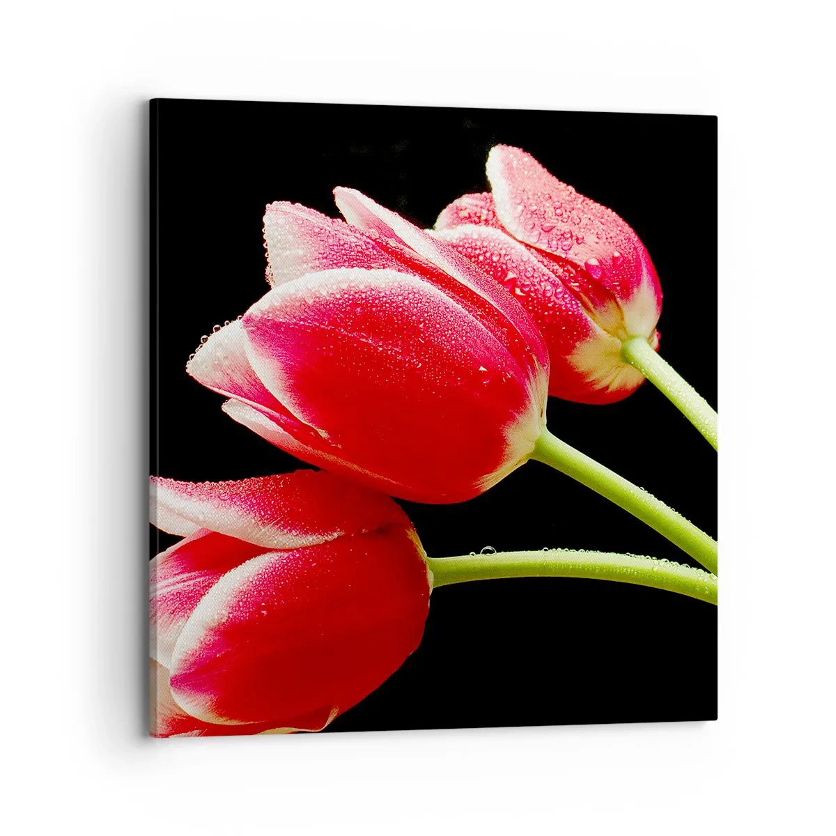 Quadro em tela - A promessa do amor puro - 70x70 cm