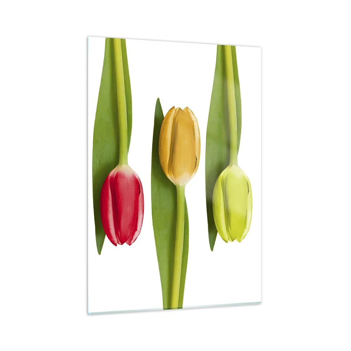 Quadro em vidro - Composição arco-íris - 50x70 cm