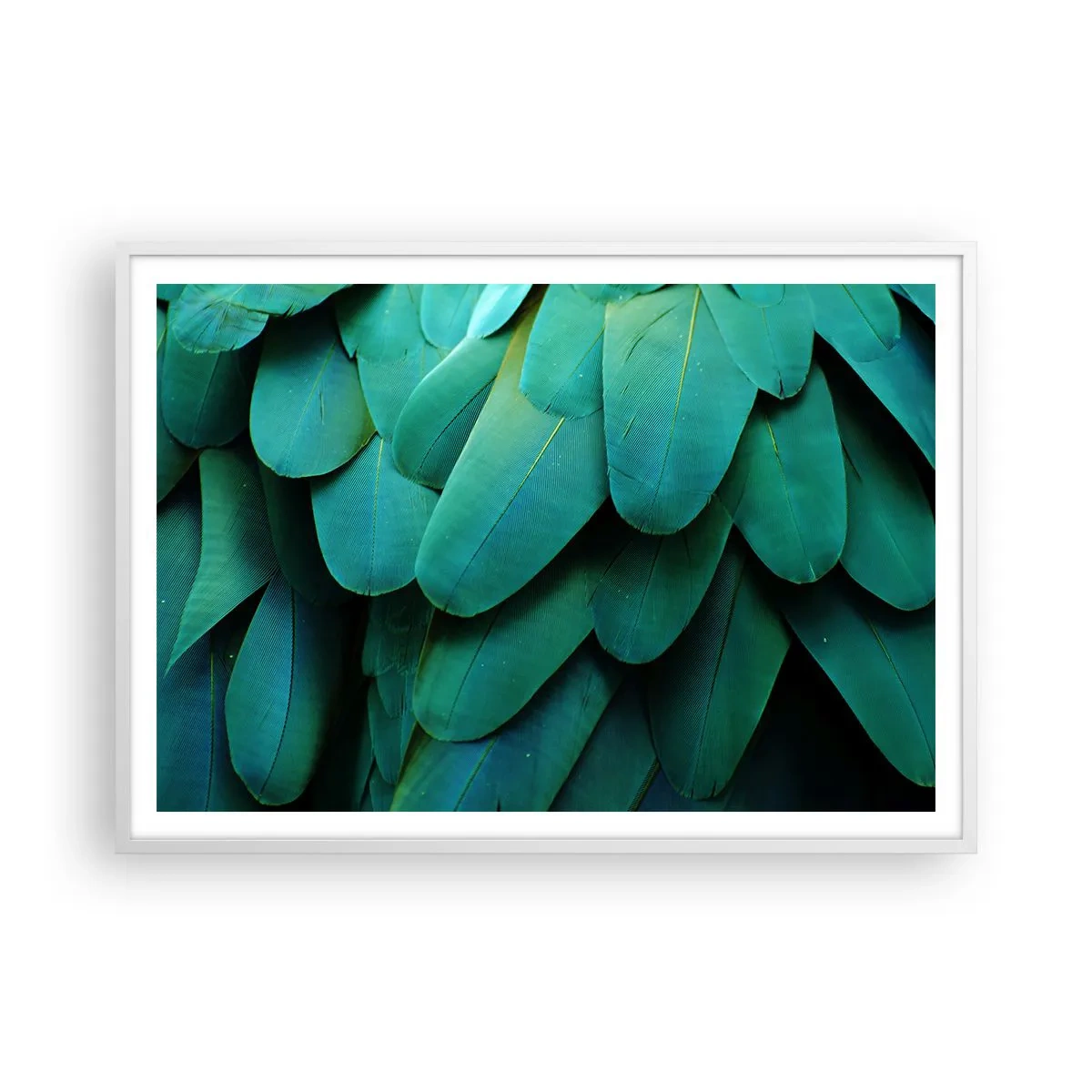 Pôster em moldura branca - Precisão de papagaio - 100x70 cm