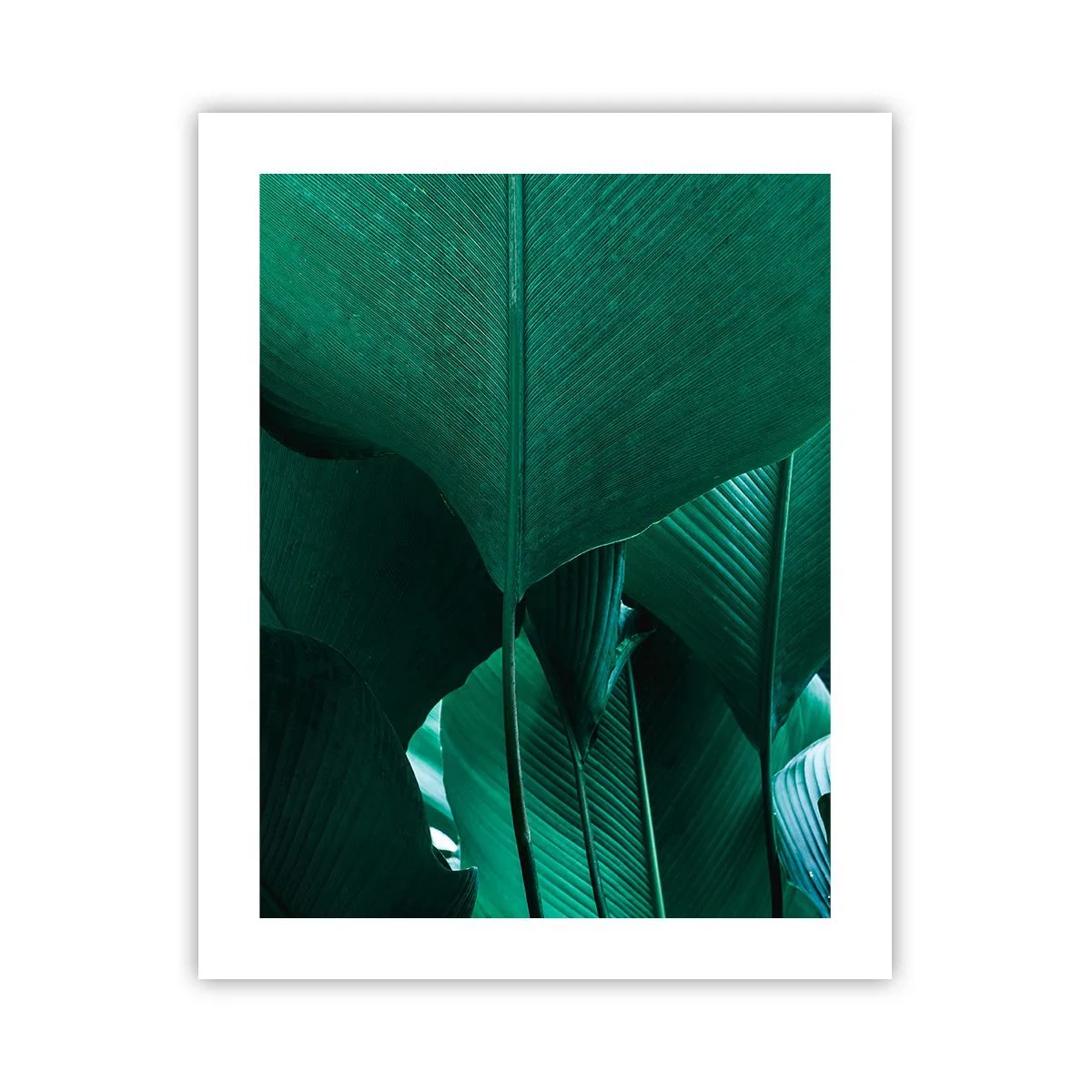 Pôster - De frente para a luz - 40x50 cm