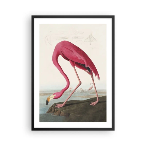 Pôster com moldura preta - Um flamingo rosa em uma paisagem natural - 50x70cm - Uma criatura surpreendente - Decoração de parede moderna para a sala de estar e quarto ARTTOR