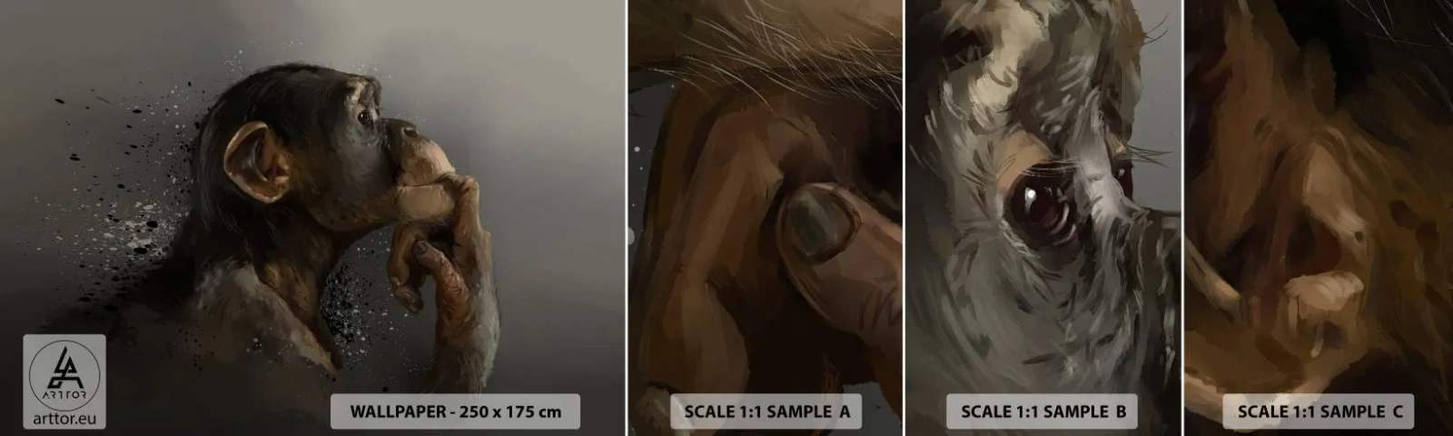 Amostra de Papel de Parede Standard Eco - Certamente um pensador - Animais, Macaco, Pedaço - 100x30 cm