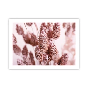 Pôster - Aparentemente discreto - 70x50 cm