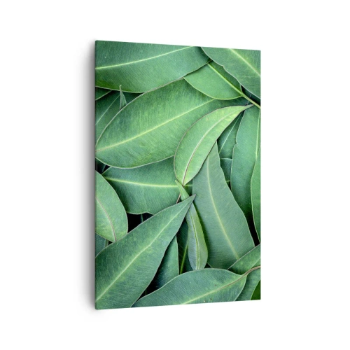 Quadro em tela - Suculentas e frescas - 70x100 cm