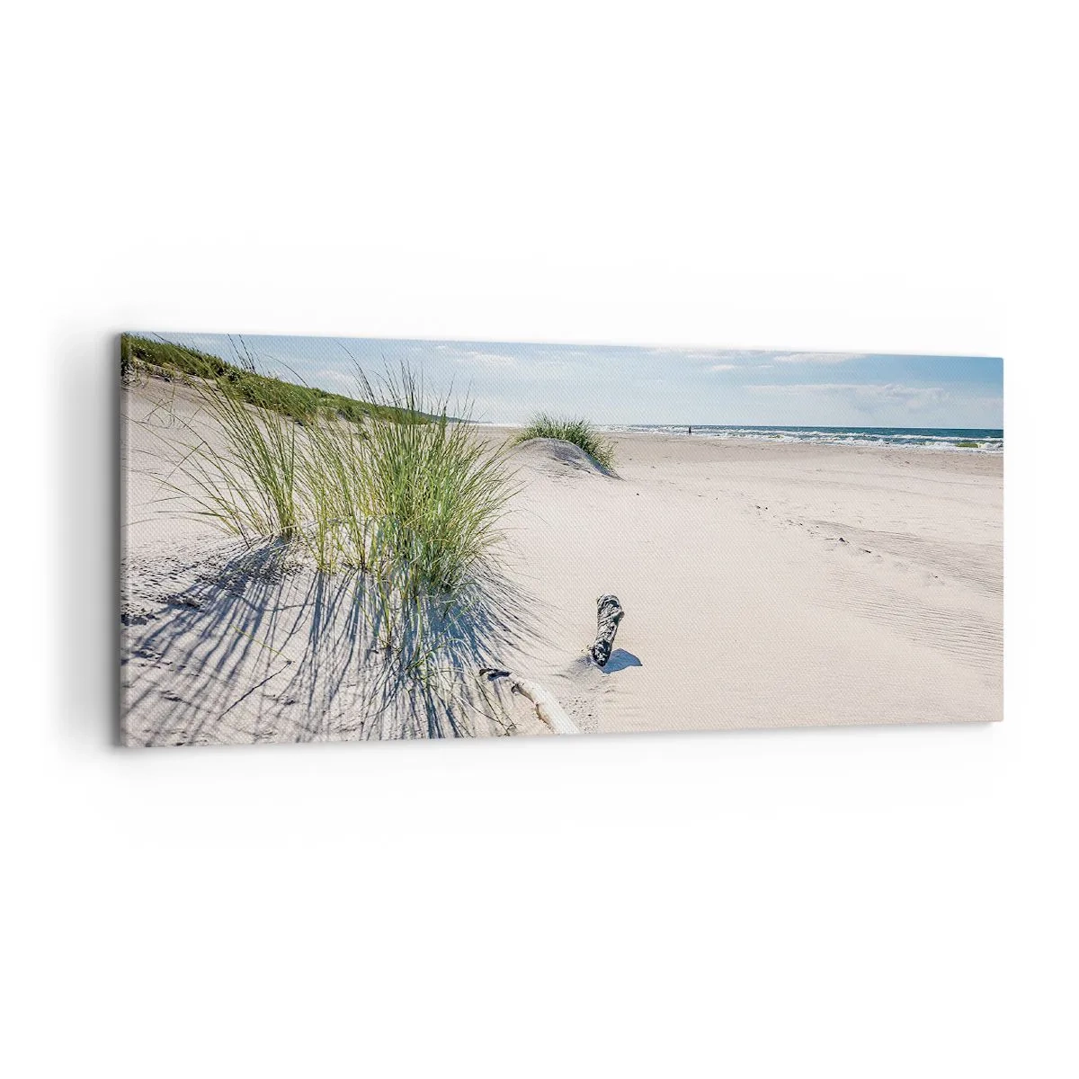 Quadro em tela - A mais bonita? do Báltico - 100x40 cm